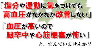 食事で血圧を下げる方法 食事だけで血圧を下げる藤城式食事法DVD